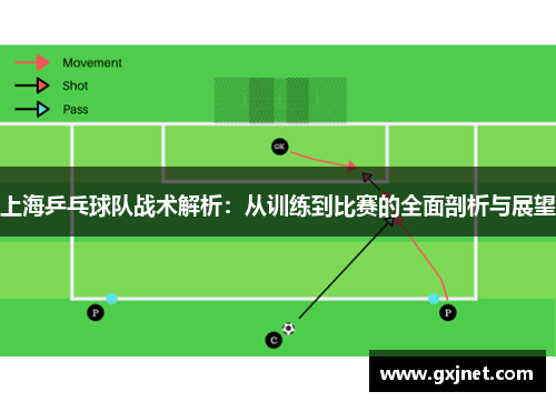 上海乒乓球队战术解析：从训练到比赛的全面剖析与展望