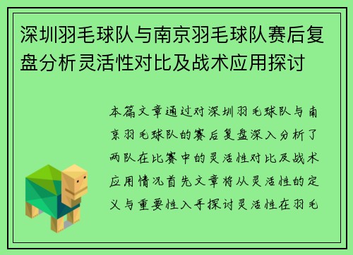深圳羽毛球队与南京羽毛球队赛后复盘分析灵活性对比及战术应用探讨